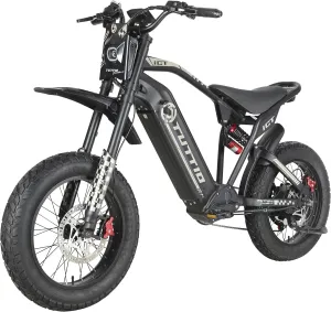 Electric-Dirt-Bike for Adults-Teens, ICT Peak 4000W-43MPH-60V-25AH Electric Motorcycle 20" Fat-Tire-Electric-Bike for Mountain Snow Off-Road Fit Age 16 