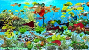 Guppies Aquarium Screen Saver [Download]