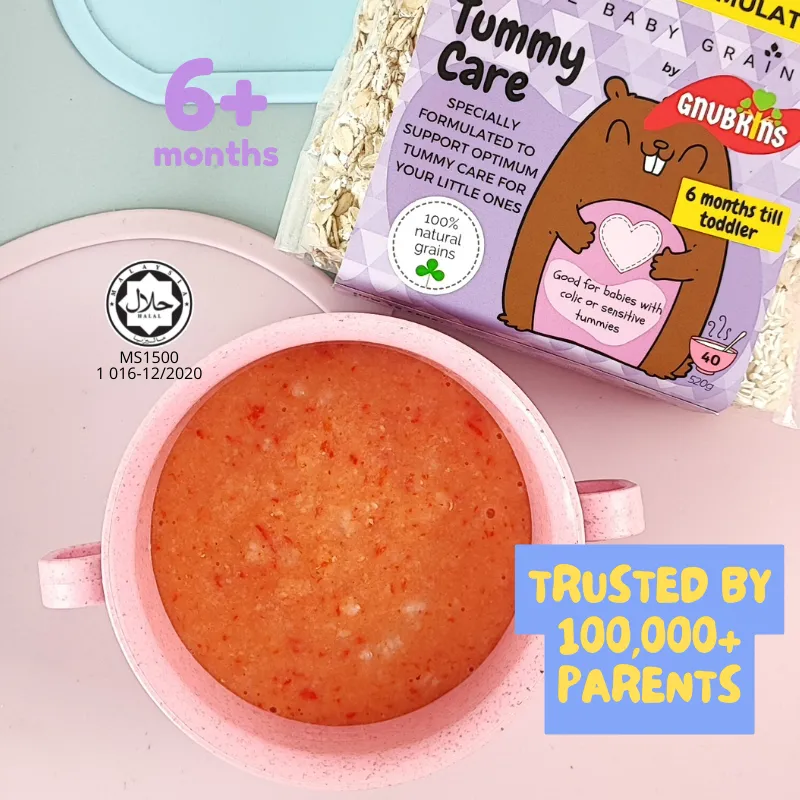 Little Baby Grains Nutritionist Formulated Tummy Care 6  Months 520g